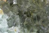 Blue-Green, Cubic Fluorite Crystal Cluster - Morocco #98993-2